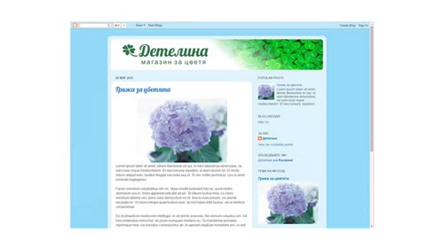 Изображения за Интернет. Проект: Facebook корица
