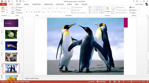 Сваляне на PowerPoint, версии и файлове с упражнения
