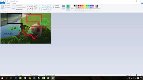 Paint