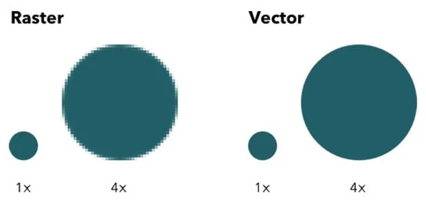 Raster vs. vector Photoshop или Illustrator