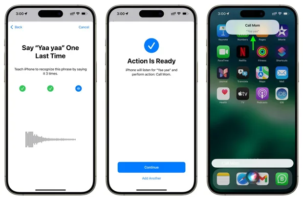iphone функции vocal shortcut