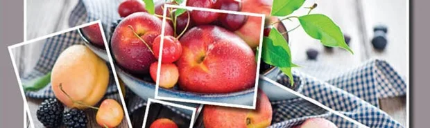 indesign3
