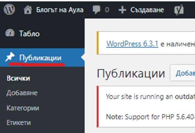 публикации в wordpress