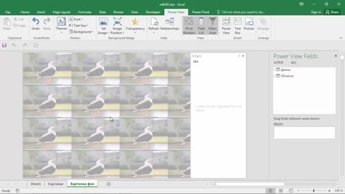 Текстови полета (Text boxes) и картинки (images)