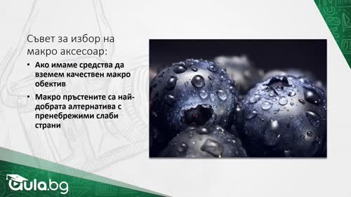 Макро фотография