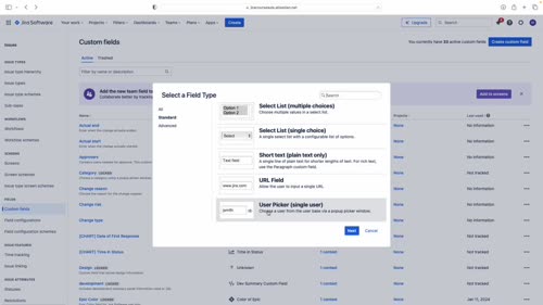 Видове полета в Jira - Standard Custom Fields