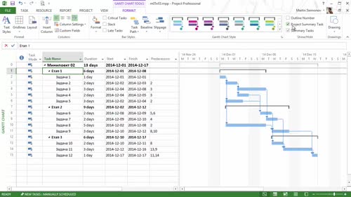 Въвеждане на Project Summary