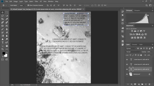 Default Sample Text
