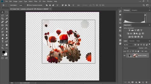 Frame Tool - Custom