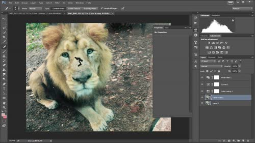 Какво е Photoshop Pro