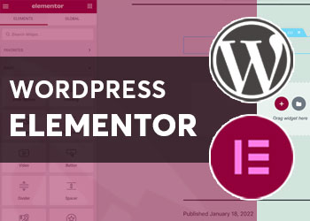 Wordpress Elementor