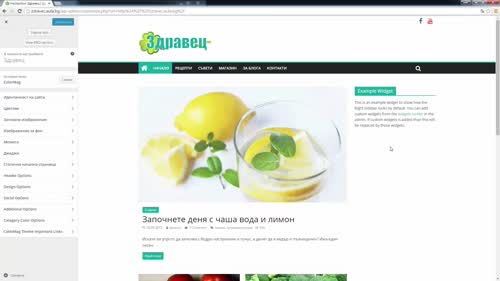 Настройки на една Wordpress тема